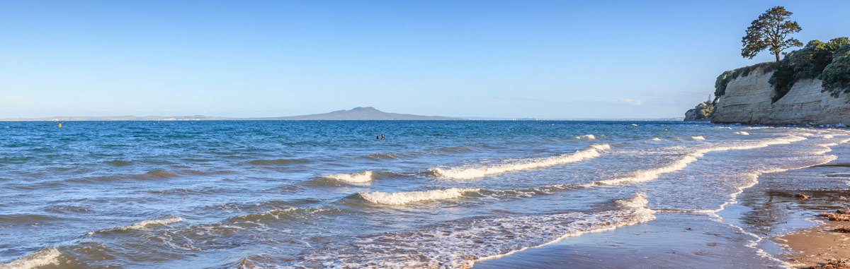 Browns Bay Beach near Browns Bay Olive Tree Motel