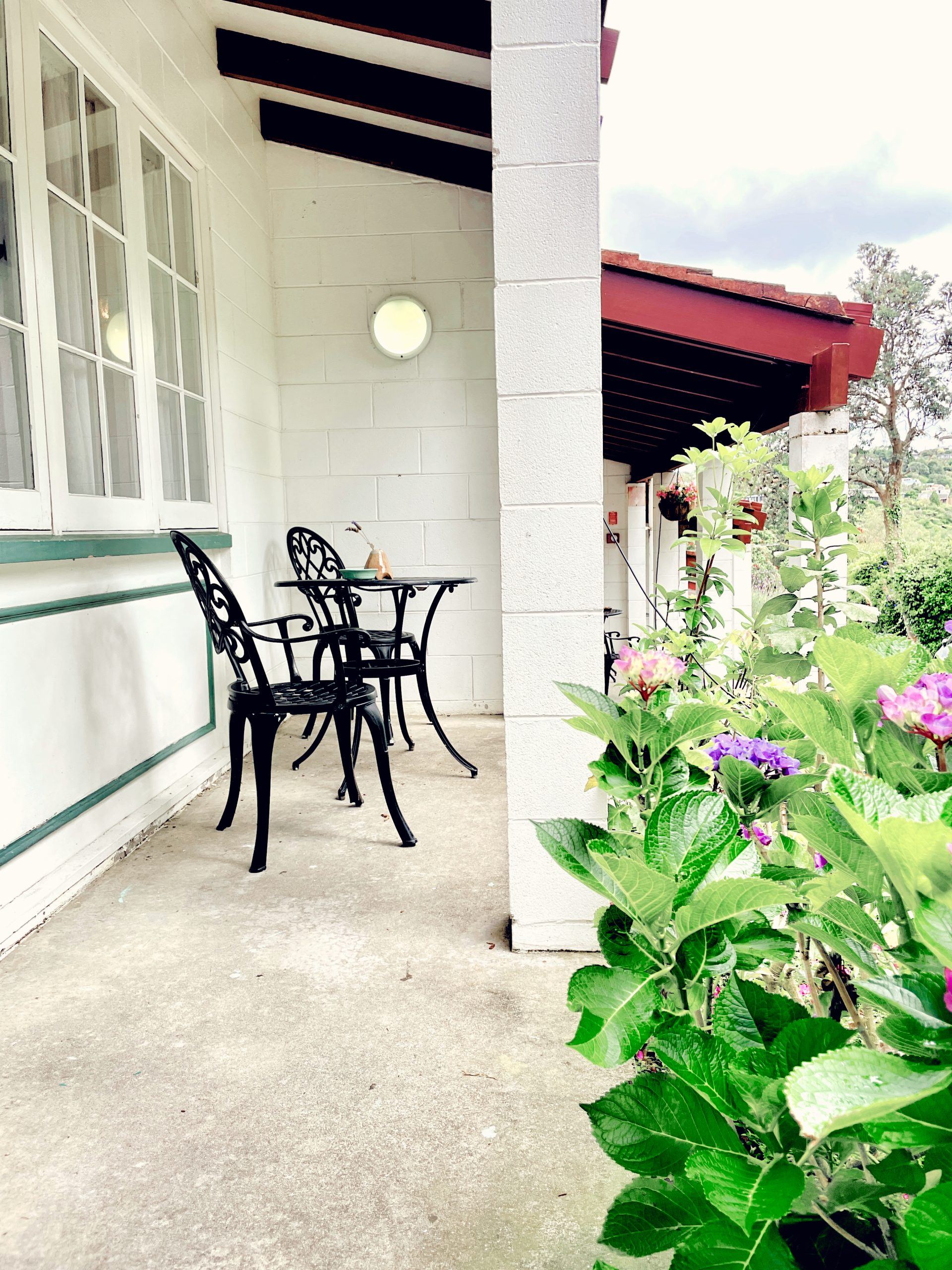 Covered verandah seating at Browns Bay Olive Tree Motel